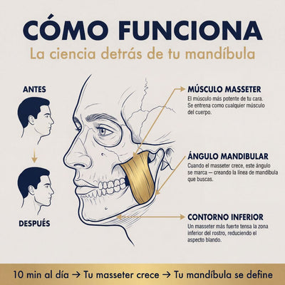Jaw Trainer Cara Dura