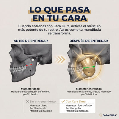 Jaw Trainer Cara Dura