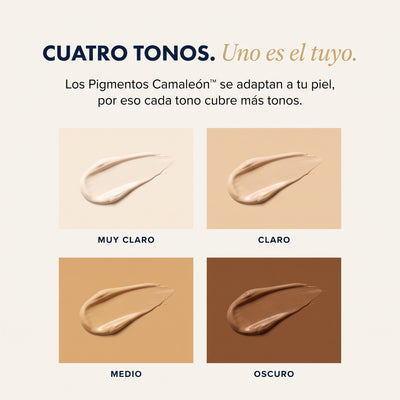 Cuatro tonos de Borrón